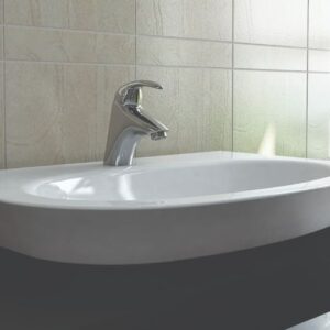 روکابینتی لیونا 65